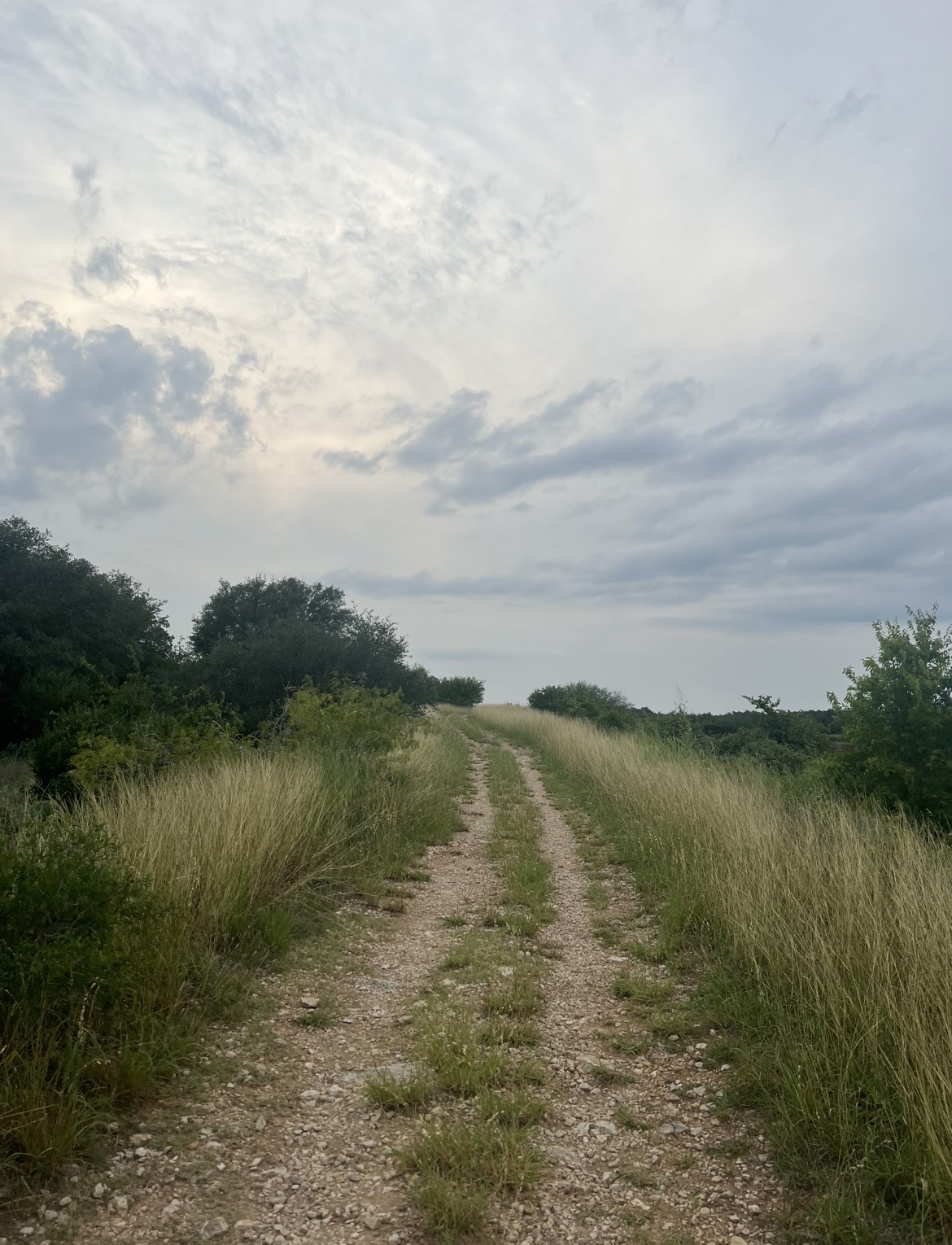 pretty hiking trail at Purgatory Creek